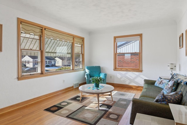 living room with hardwood / wood-style floors