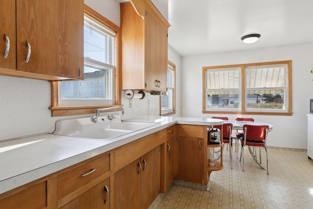 kitchen with sink and kitchen peninsula