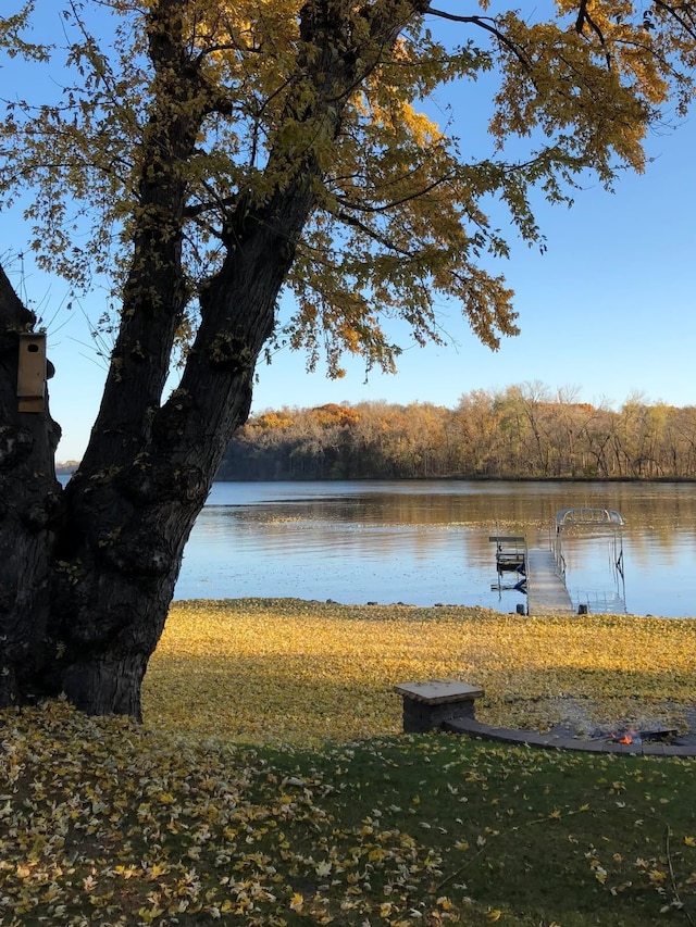 property view of water