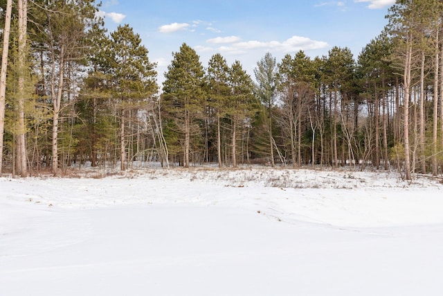 XXX 317th Ct NW, Cambridge MN, 55008 land for sale