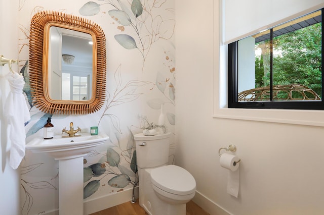 bathroom with hardwood / wood-style floors and toilet