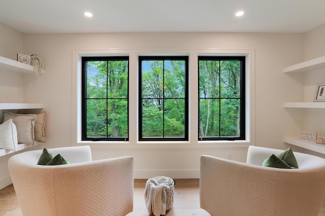 interior space featuring light hardwood / wood-style flooring and plenty of natural light