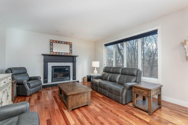 living room with hardwood / wood-style floors