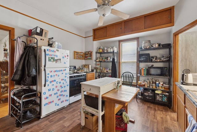 kitchen featuring hardwood / wood-style flooring, ceiling fan, and white appliances