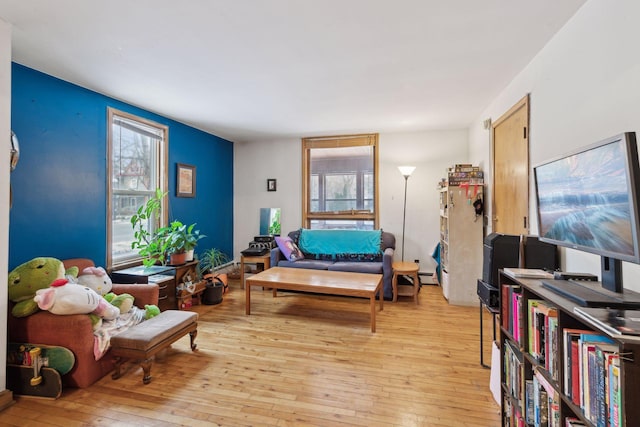 living area featuring plenty of natural light and light hardwood / wood-style floors