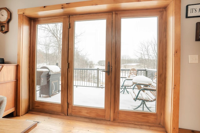 doorway featuring light hardwood / wood-style floors and a healthy amount of sunlight