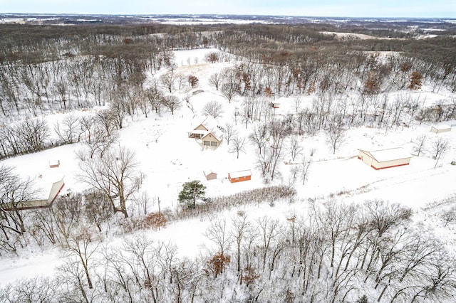 view of snowy aerial view