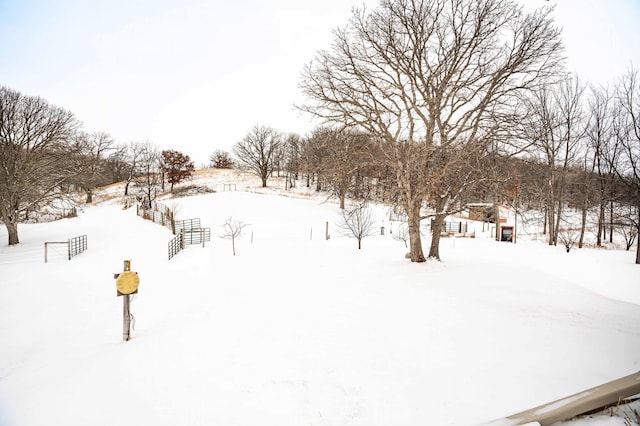 view of snowy yard