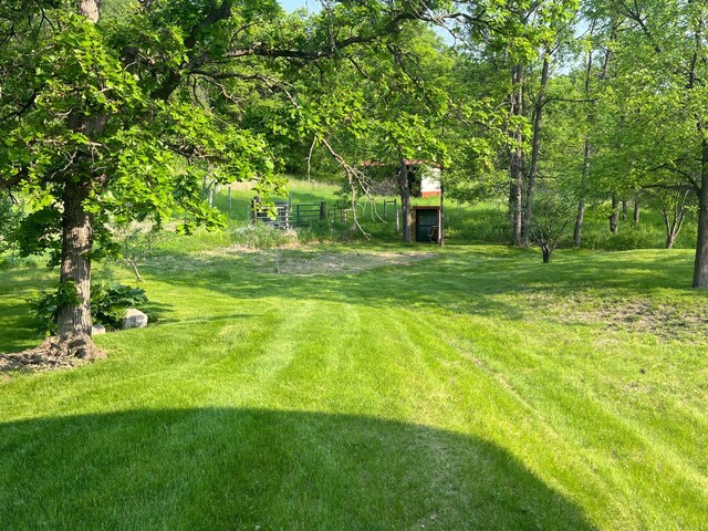 21443 355th Ave, Battle Lake, MN 56515 - view of green lawn