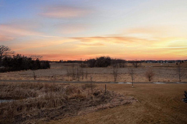 view of yard with a rural view