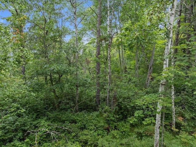 Listing photo 3 for LOT23-188-187 St Moritz Blvd, Breezy Point MN 56472