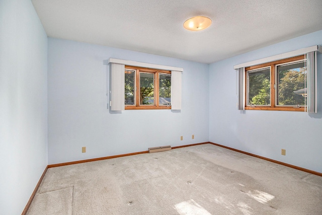 empty room with carpet, a wealth of natural light, and a textured ceiling