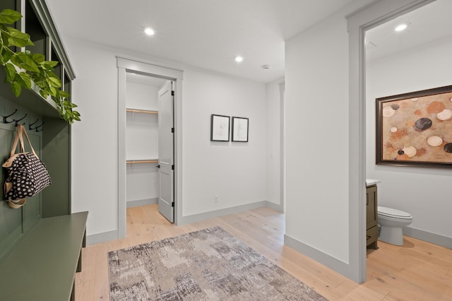 mudroom featuring light hardwood / wood-style flooring