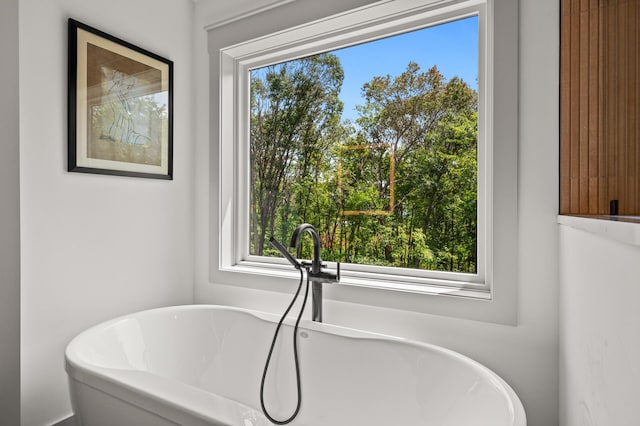 bathroom featuring a bathtub