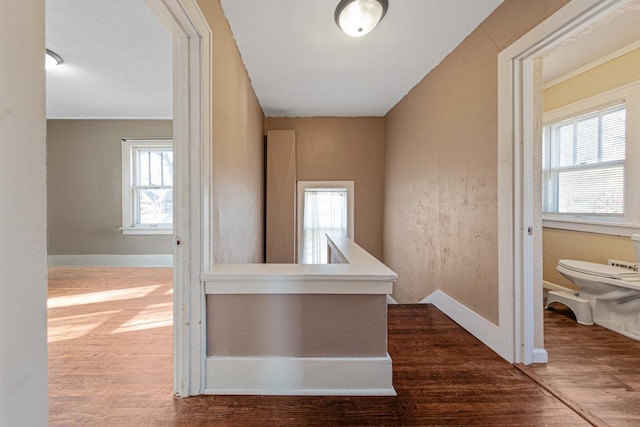 hall with hardwood / wood-style flooring