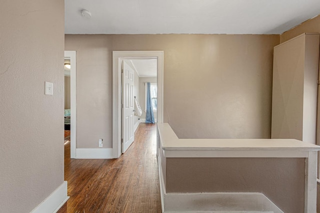 hallway with dark hardwood / wood-style flooring