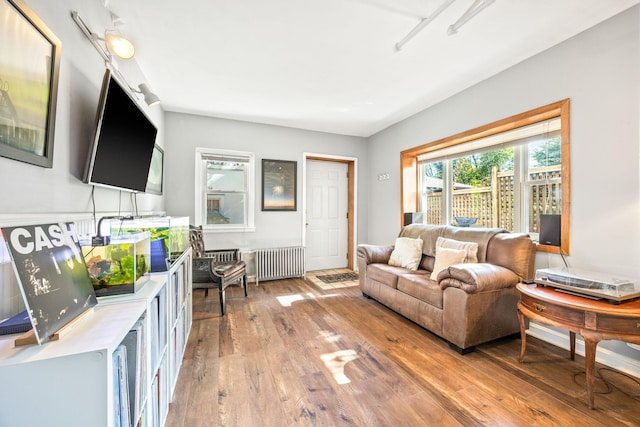 living room featuring radiator and hardwood / wood-style flooring