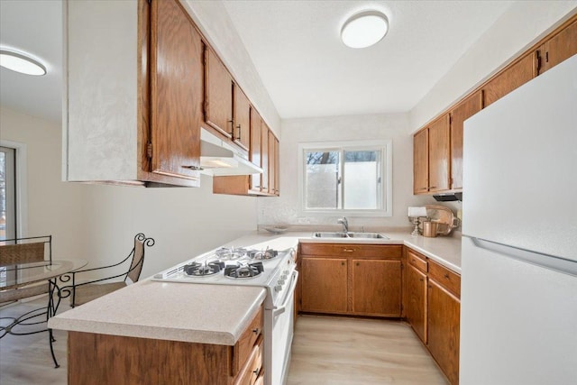 kitchen with white appliances, sink, and light wood-type flooring