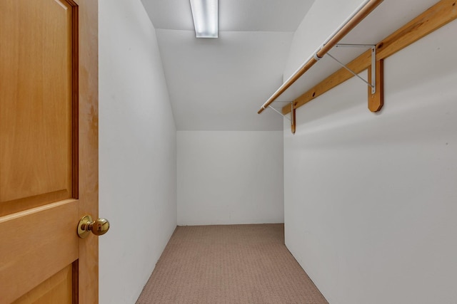 spacious closet with light carpet