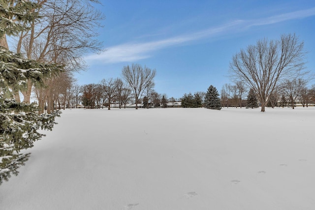 view of yard layered in snow