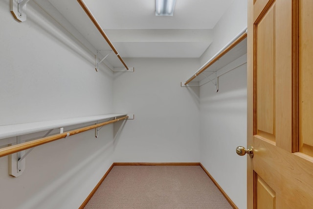 walk in closet with light carpet