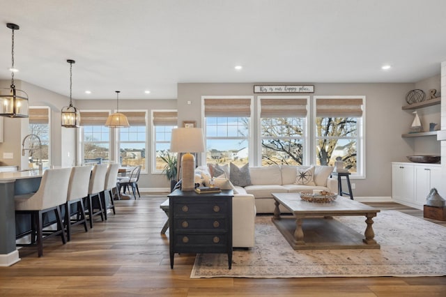 living room with hardwood / wood-style flooring and sink