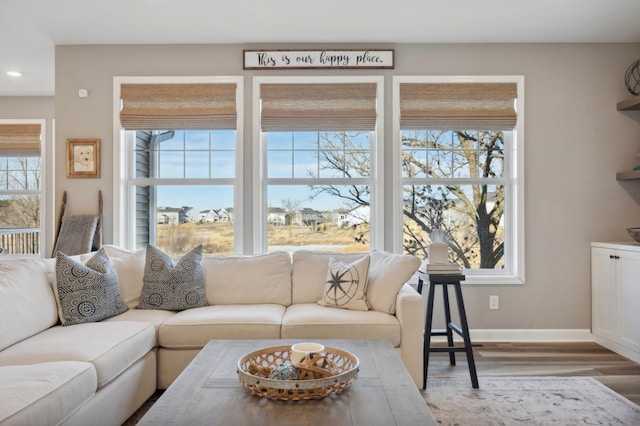 living room featuring hardwood / wood-style flooring