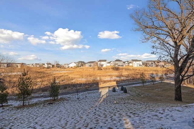 view of snowy yard