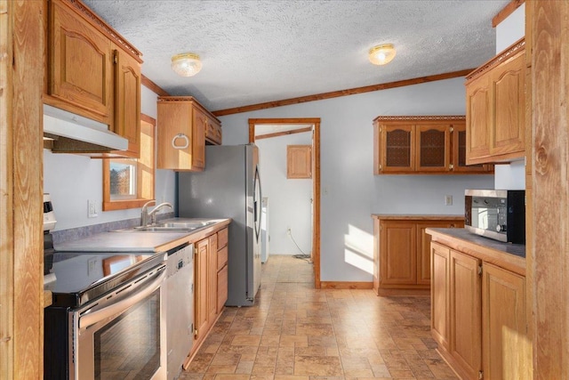 kitchen featuring crown molding, appliances with stainless steel finishes, sink, and a textured ceiling