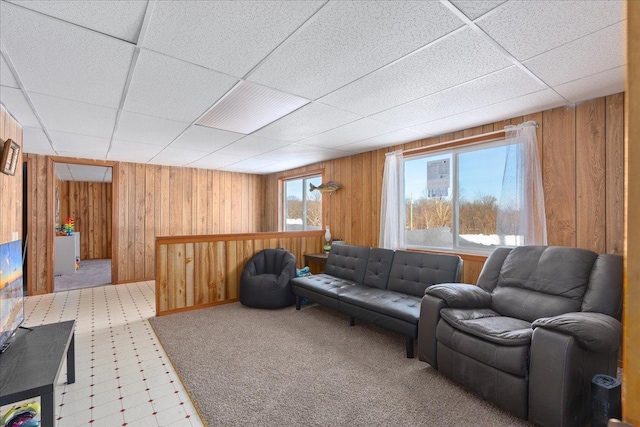 living room featuring a healthy amount of sunlight and wooden walls