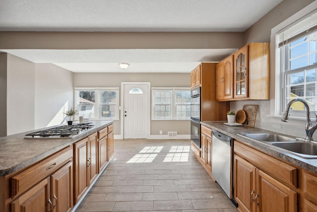 kitchen with appliances with stainless steel finishes, a sink, a wealth of natural light, and tasteful backsplash