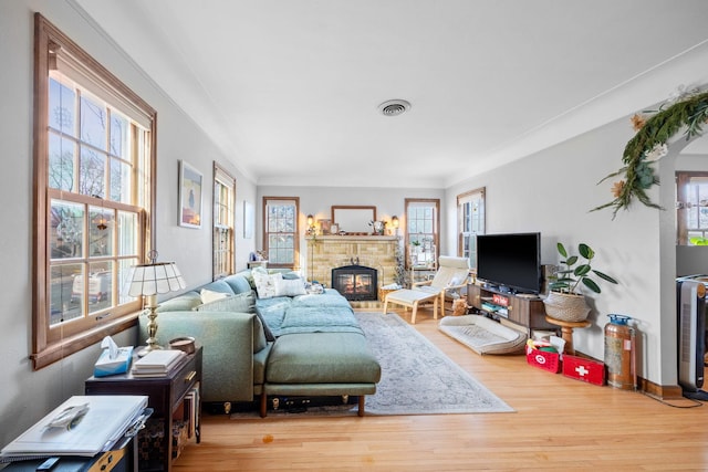 living room featuring a fireplace, hardwood / wood-style flooring, and plenty of natural light