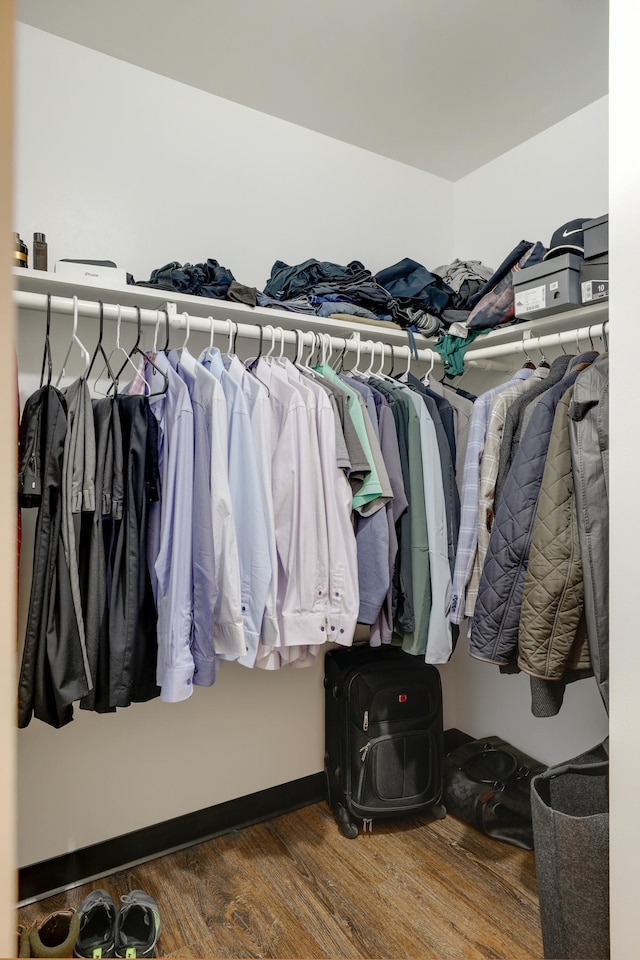 spacious closet featuring dark wood-type flooring