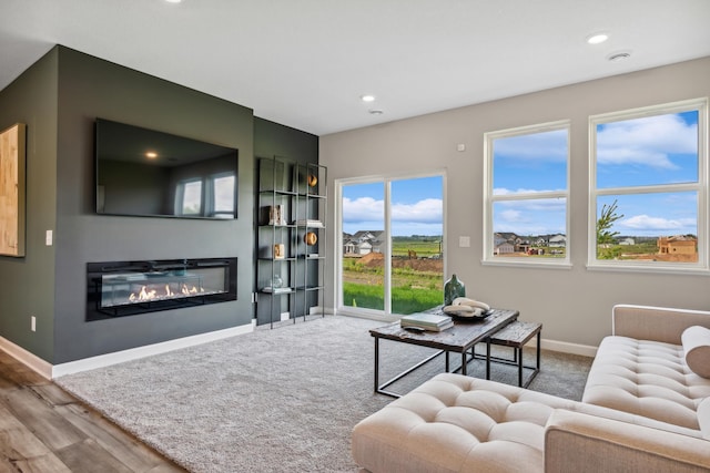 living room featuring hardwood / wood-style flooring