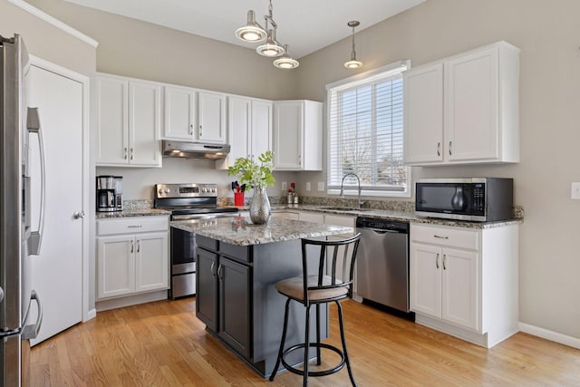 kitchen with under cabinet range hood, stainless steel appliances, light wood-style floors, and a sink