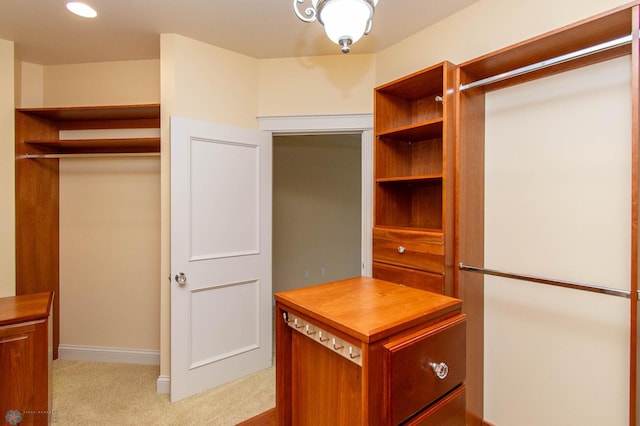 spacious closet with light carpet