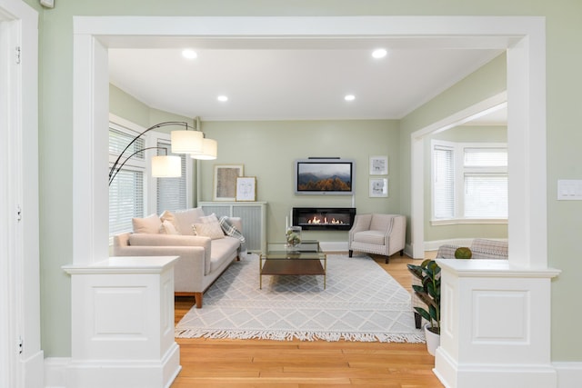 living room featuring hardwood / wood-style floors