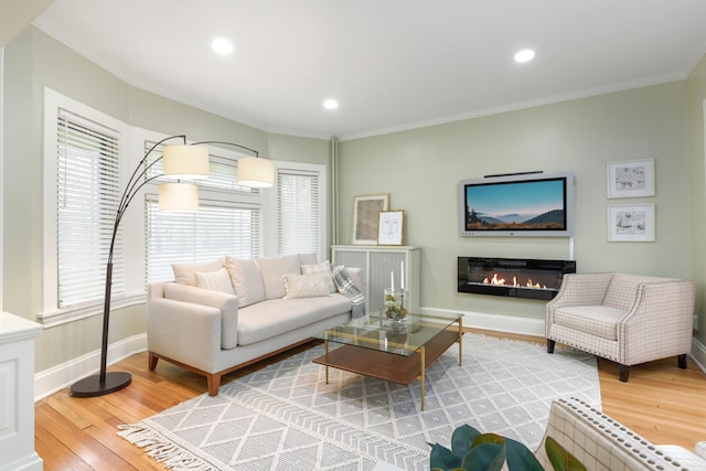 living room featuring crown molding and wood-type flooring