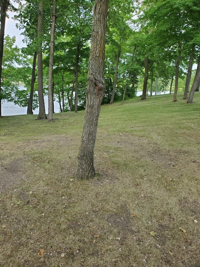 Listing photo 2 for 509XX Fish Lake Rd, Detroit Lakes MN 56501