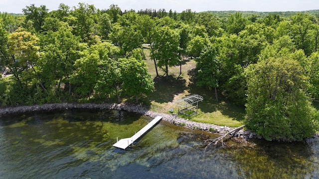 509XX Fish Lake Rd, Detroit Lakes, MN 56501 - photo 5