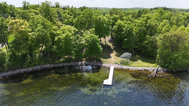 509XX Fish Lake Rd, Detroit Lakes, MN 56501 - photo 6