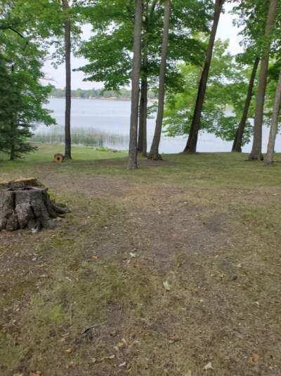 509XX Fish Lake Rd, Detroit Lakes, MN 56501 - photo 4