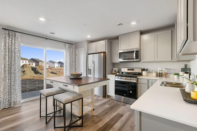 kitchen with appliances with stainless steel finishes, gray cabinets, light hardwood / wood-style floors, and sink