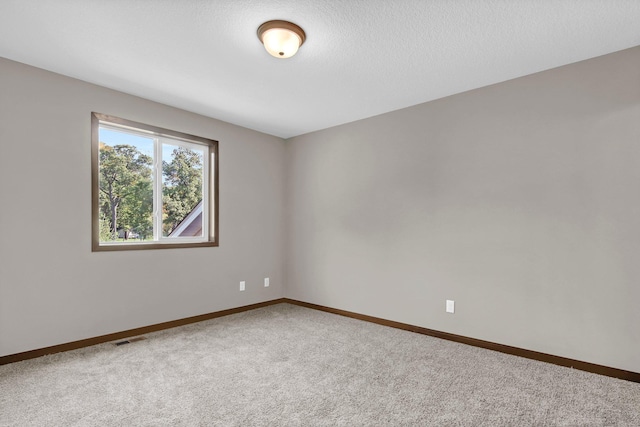 empty room featuring carpet flooring and a textured ceiling