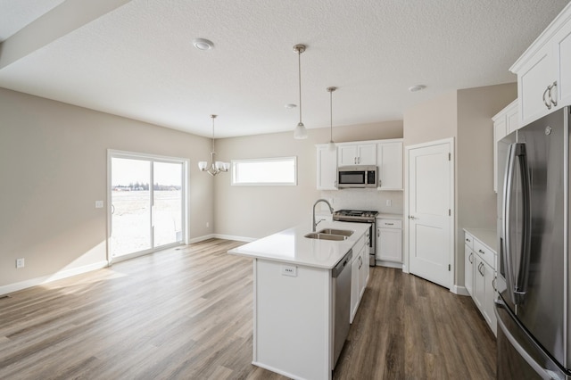 kitchen featuring pendant lighting, appliances with stainless steel finishes, white cabinetry, hardwood / wood-style floors, and a center island with sink