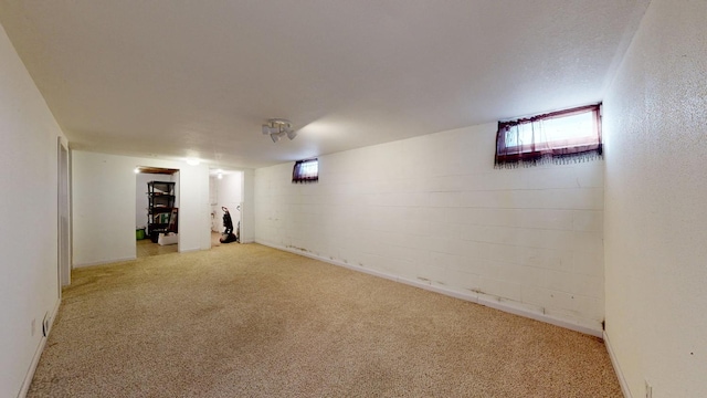 basement with light colored carpet