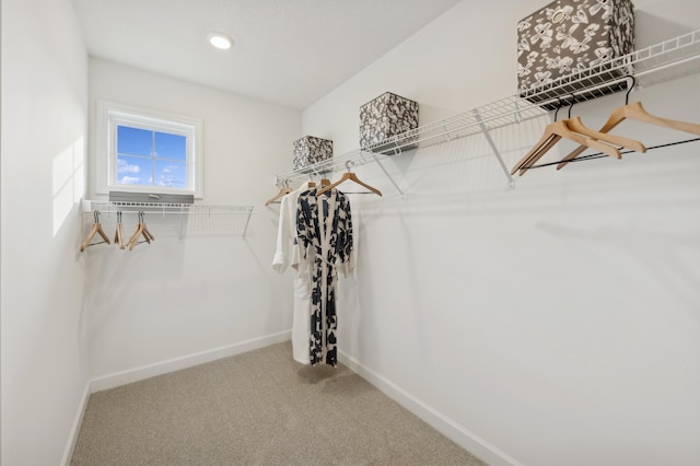 walk in closet with carpet floors