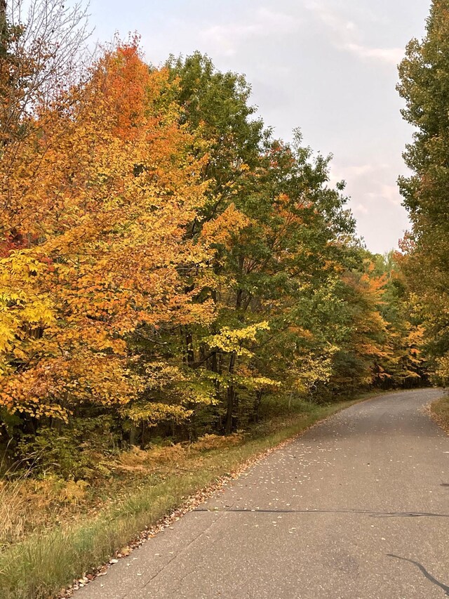 view of road featuring a wooded view