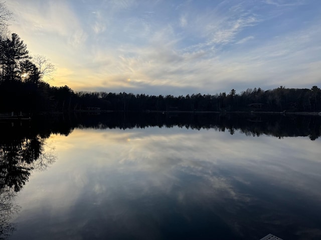 water view featuring a forest view