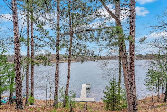 water view with a boat dock